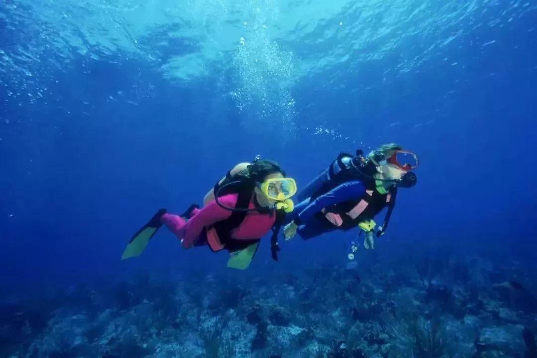 深入了解《非洲历险记》中有哪些类型的数学题?的知识星球平台,实用有效的解决方案