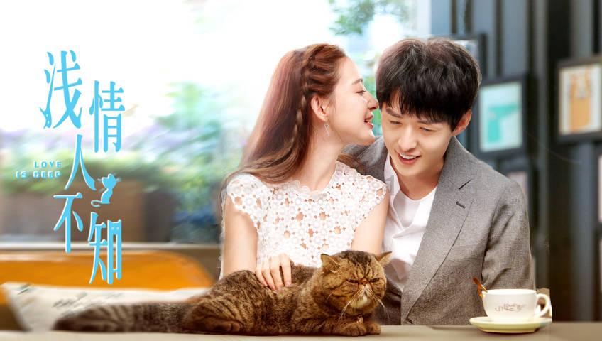 小猫钓鱼正版下载中文版