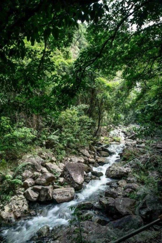 沪江开心词场